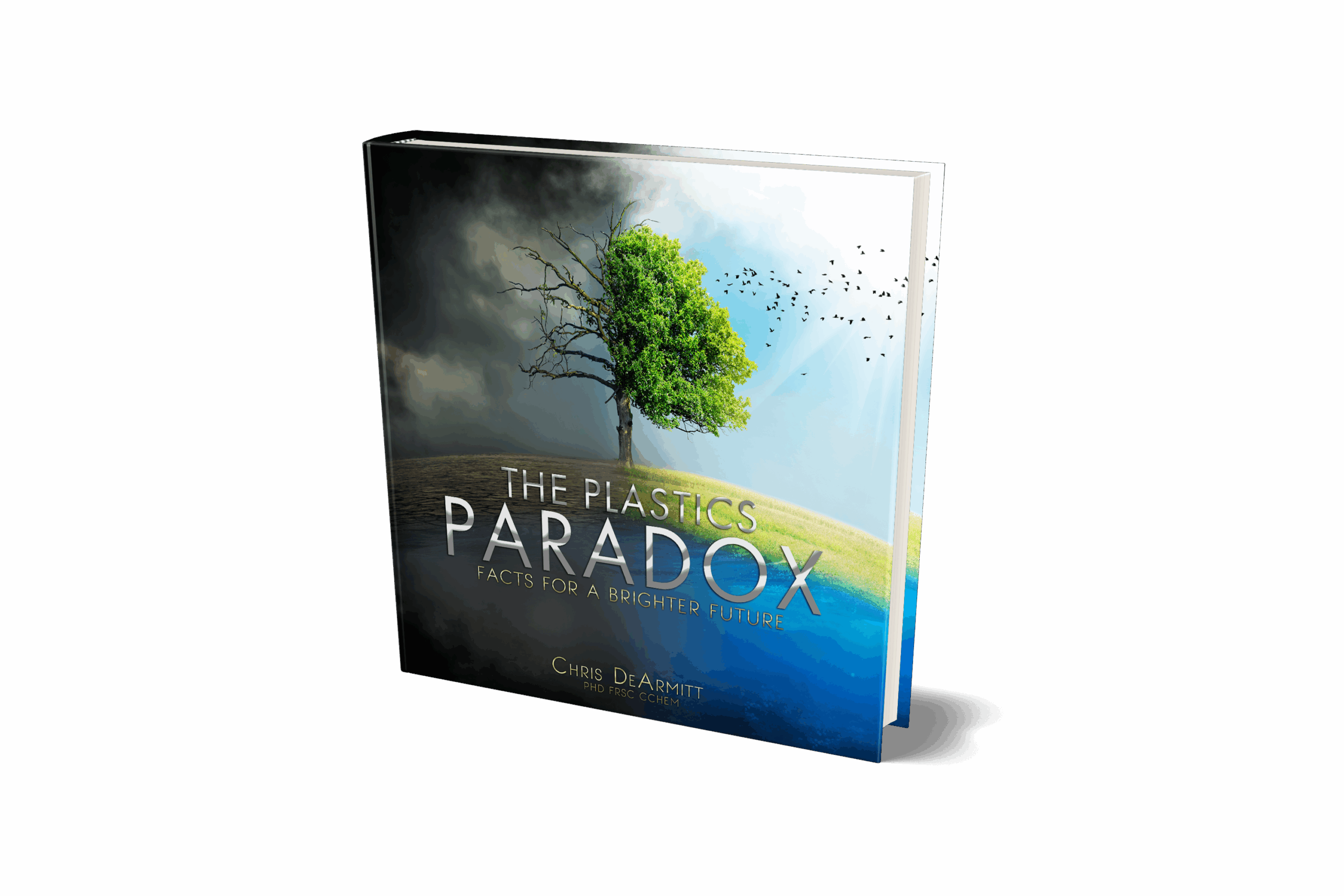 Paradox Book Cover 3D Good